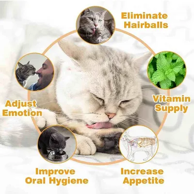 LovuPet 3 Pcs Jouets de Boule d'herbe à Chat Rotative à 360°