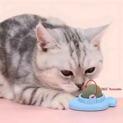 LovuPet 3 Pcs Jouets de Boule d'herbe à Chat Rotative à 360°