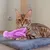 LovuPet 3 Pcs Jouets en Peluche pour Chat,Jouet Teaser en Forme de Poulpe