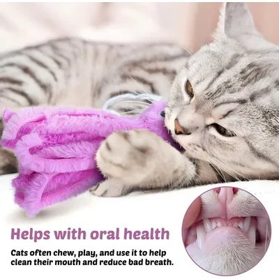 LovuPet 3 Pcs Jouets en Peluche pour Chat,Jouet Teaser en Forme de Poulpe