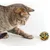 LovuPet Lot de 6 Jouets colorés pour Chat, Boules interactives pour Chat