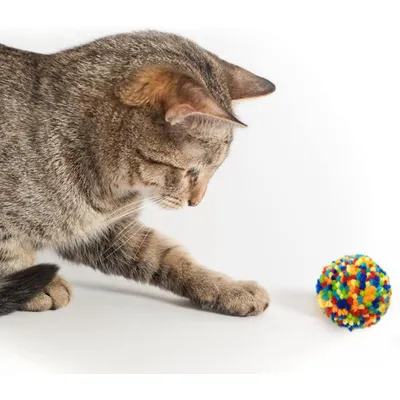 LovuPet Lot de 6 Jouets colorés pour Chat, Boules interactives pour Chat