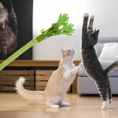 LovuPet Bâtonnets de céleri interactifs pour chats avec clochette