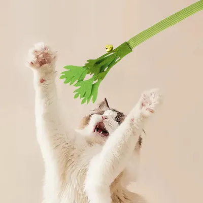 LovuPet Bâtonnets de céleri interactifs pour chats avec clochette