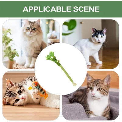 LovuPet Bâtonnets de céleri interactifs pour chats avec clochette