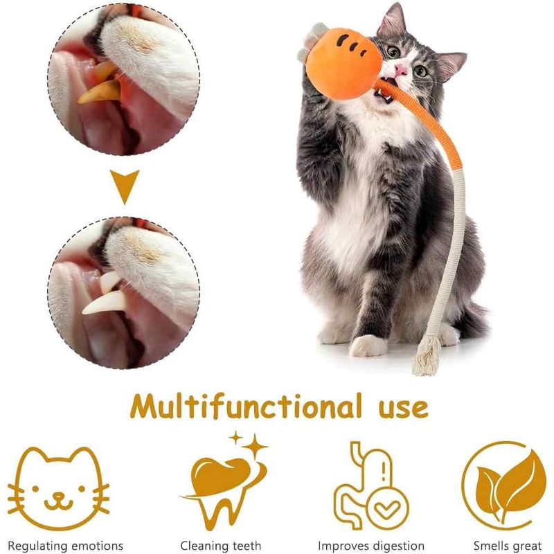 LovuPet 4PCS Jouets Interactifs pour Chat, Corde à Taquiner pour Chat