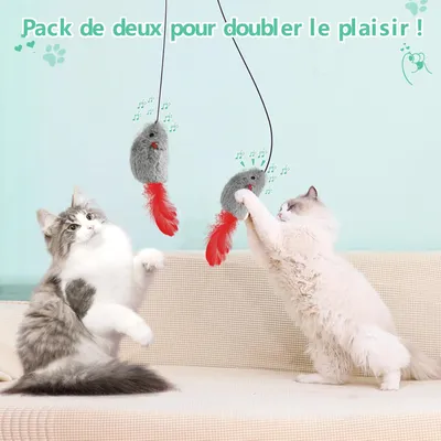 LovuPet 2Pcs Jouet Chat Interactif Souris Suspendue avec Queue à Plumes
