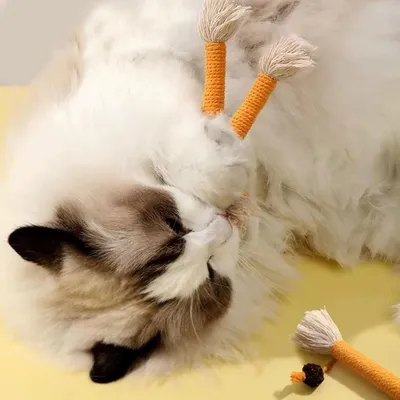 LovuPet Lot de 4 jouets à mâcher pour chat - Avec corde à mâcher