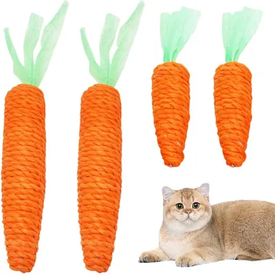 LovuPet 4pcs Carrot Cat Toys, Jouets en Corde Tressée