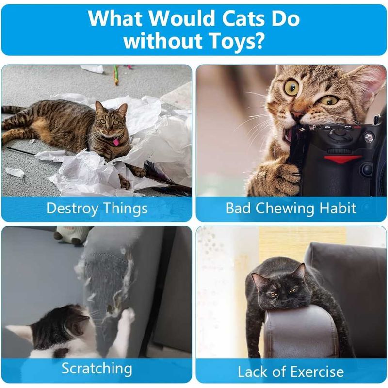 LovuPet Jouet Herbe a Chat, 3 Pièces Jouet pour Chat, Cataire Poisson Jouet