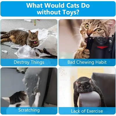 LovuPet Jouet Herbe a Chat, 3 Pièces Jouet pour Chat, Cataire Poisson Jouet