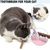 LovuPet Jouet Chat Interactif,Jouets pour Chats à Ressort avec Boules Herbe