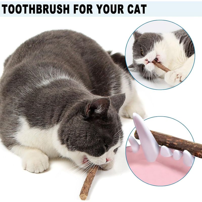 LovuPet Jouet Chat Interactif,Jouets pour Chats à Ressort avec Boules Herbe