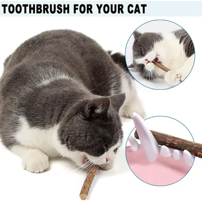 LovuPet Jouet Chat Interactif,Jouets pour Chats à Ressort avec Boules Herbe