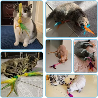 LovuPet Jouet Chat Interactif,Jouets pour Chats à Ressort avec Boules Herbe