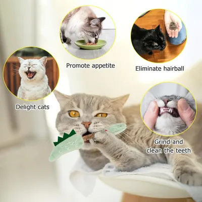 LovuPet Herbe à Chat, Bâtonnets à Mâcher Matatabi, Bâtonnets Herbe à Chat