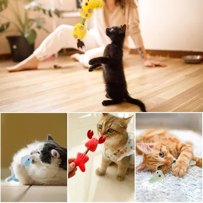 LovuPet Herbe à Chat, Bâtonnets à Mâcher Matatabi, Bâtonnets Herbe à Chat