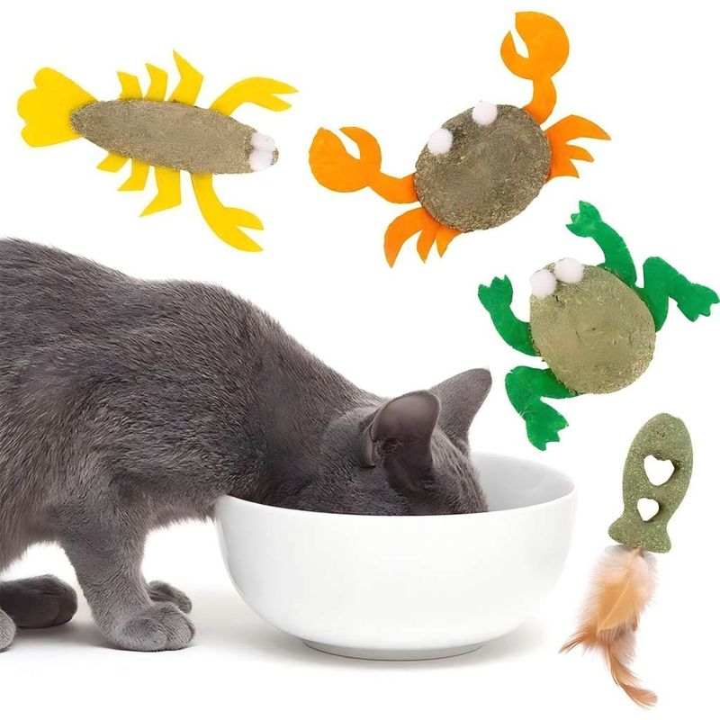 LovuPet Jouet de nettoyage des dents pour chat, balle à l'herbe à chat