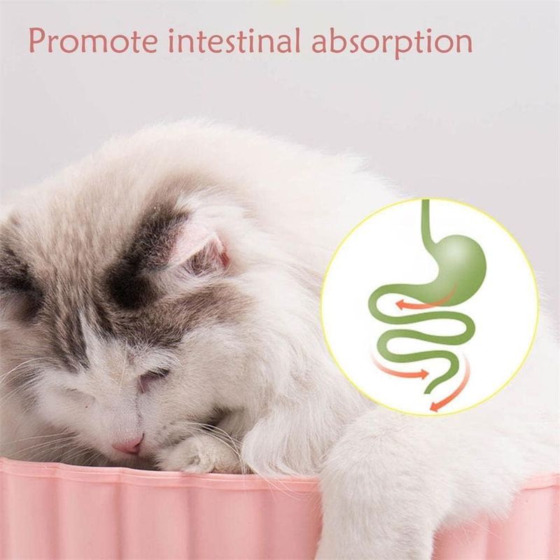 LovuPet Jouet de nettoyage des dents pour chat, balle à l'herbe à chat