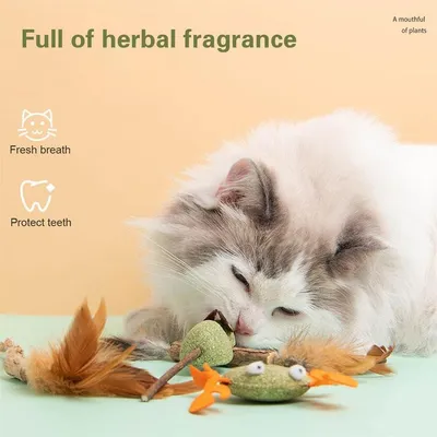 LovuPet Jouet de nettoyage des dents pour chat, balle à l'herbe à chat