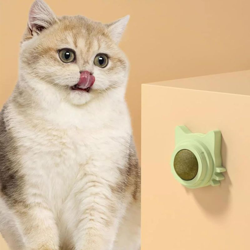 LovuPet Boule D'herbee À Chat Murale pour Chats,Boules D'herbee