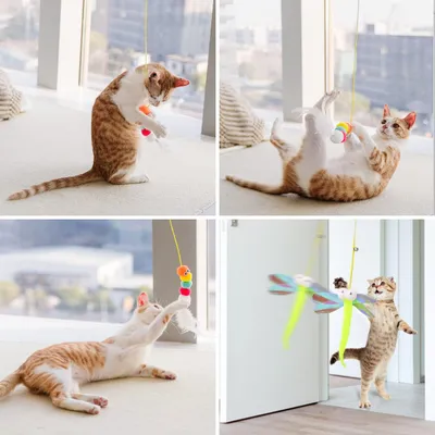 LovuPet Jouets pour Chats Suspendus, 3Pcs Colorés Jouet Chat