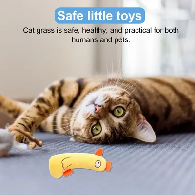 LovuPet 5 Pièces Jouet pour Chat,Herbe à Chat,Jouets en Peluche