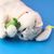 LovuPet 5 Pièces Jouet pour Chat,Herbe à Chat,Jouets en Peluche