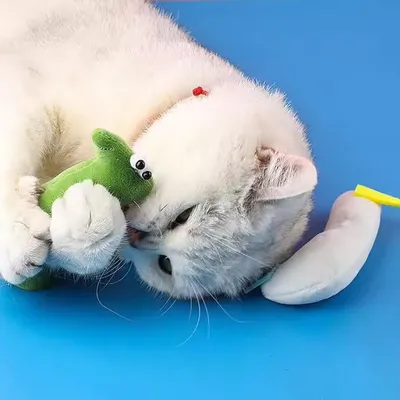 LovuPet 5 Pièces Jouet pour Chat,Herbe à Chat,Jouets en Peluche