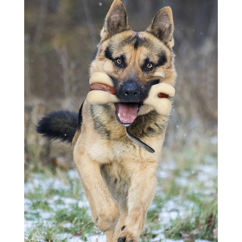 LovuPet Os à Mâcher pour Chien, Jouets Os Durable pour Mâcheurs Agressifs