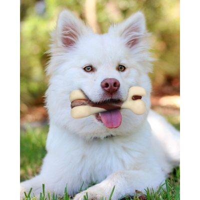 LovuPet Os à Mâcher pour Chien, Jouets Os Durable pour Mâcheurs Agressifs