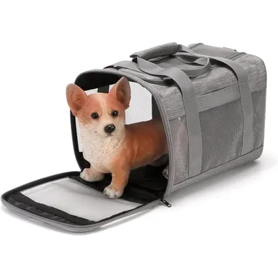 ZENITHMIND Portable Réglable pour Animaux