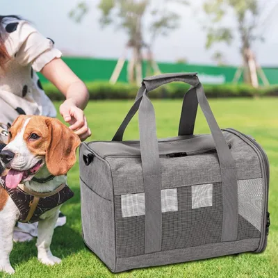 ZENITHMIND Portable Réglable pour Animaux