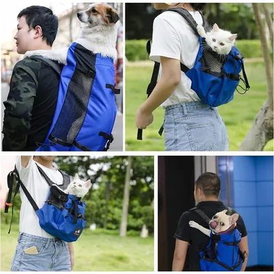 ZENITHMIND Portable Réglable pour Animaux