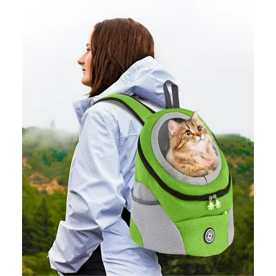 ZENITHMIND Pliable pour Chien de Voyage