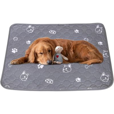 KPYTE Coussinet urinaire pour chien