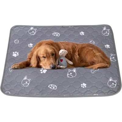 KPYTE Coussinet urinaire pour chien