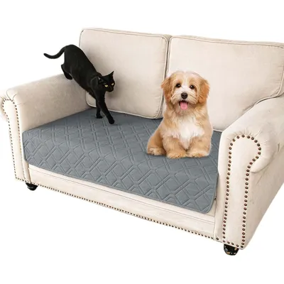 KPYTE Tapis imperméable pour chien