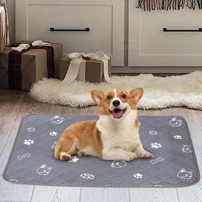 KPYTE Coussinet urinaire pour chien