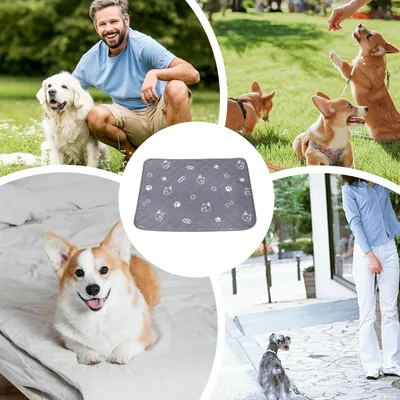 KPYTE Coussinet urinaire pour chien