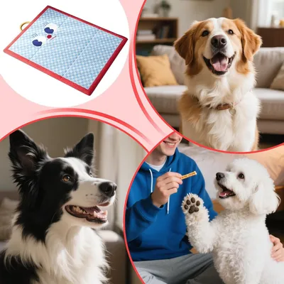 KPYTE Tapis de couchage rafraîchissant pour chats et chiens