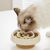 KPYTE Gamelle slow food pour chat