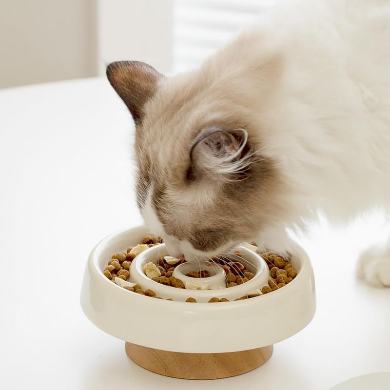 KPYTE Gamelle slow food pour chat