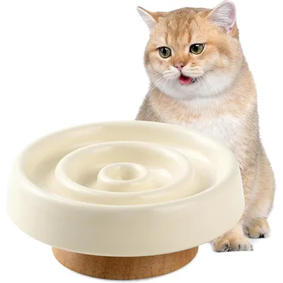 KPYTE Slow-Food-Katzennapf