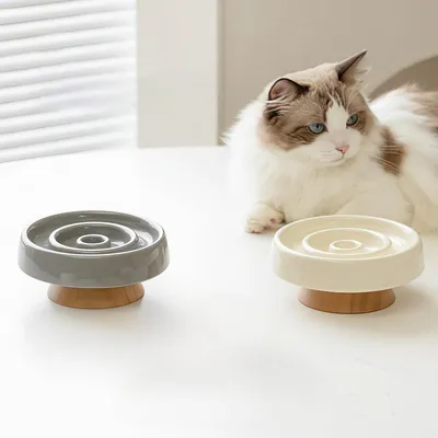 KPYTE Gamelle slow food pour chat