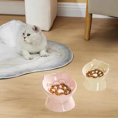 KPYTE Gamelle anti-étouffement pour chat Slow Food