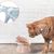 KPYTE Gamelle anti-étouffement pour chat Slow Food