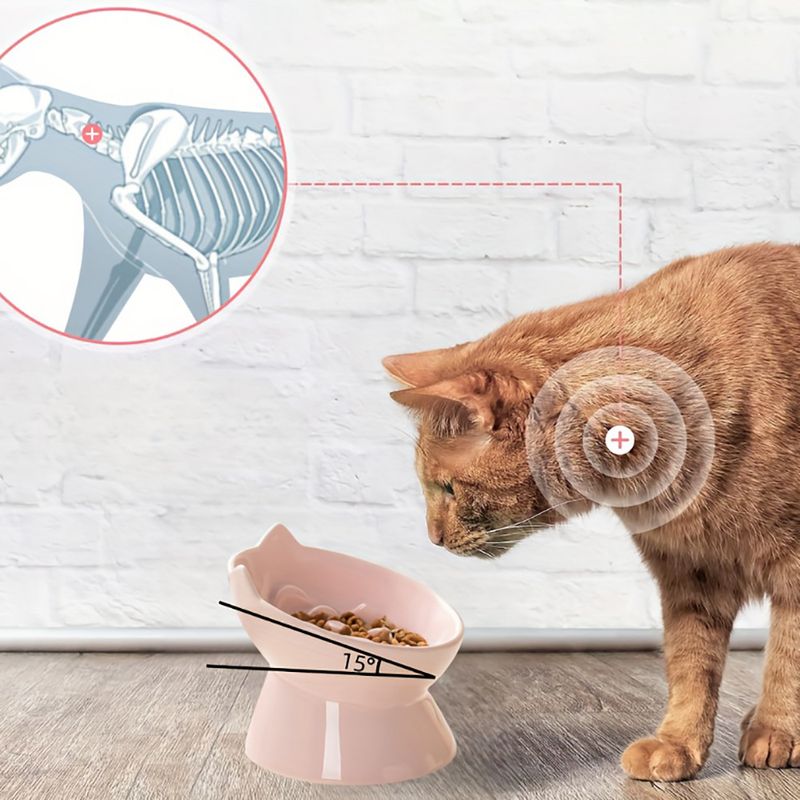 KPYTE Gamelle anti-étouffement pour chat Slow Food