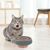 KPYTE Gamelle slow food pour chat