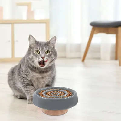 KPYTE Gamelle slow food pour chat